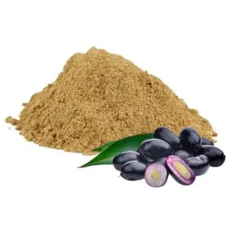 Jamun-Seed-Powder.webp